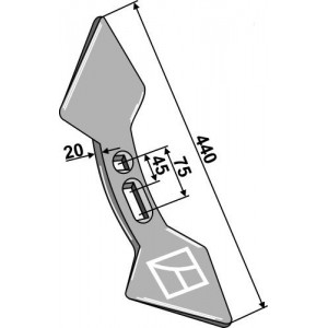Лапа сердцевидная