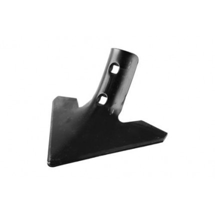 Лапа стрельчатая