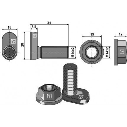 Болт конусовидный овальный и гайка с буртиком