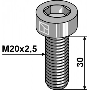 Болт с внутр. шестигранником - M20x2,5 - 10.9