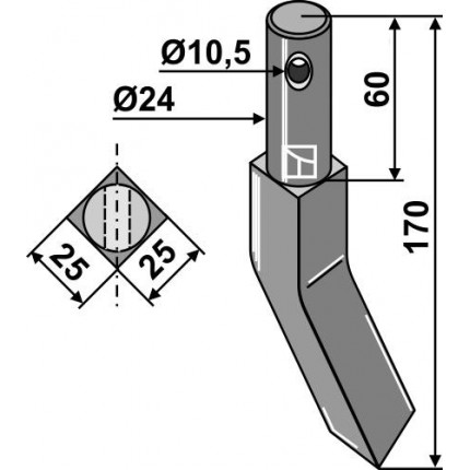 Ротационный зуб, правый
