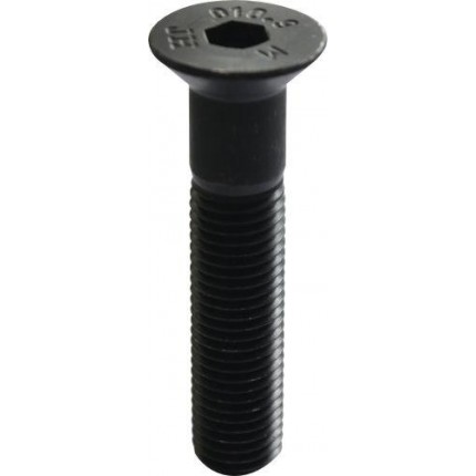 Болт с внутренним шестигранником М20