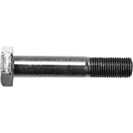 Болт со стопорной гайкой - M20 x 2,5 - 10.9