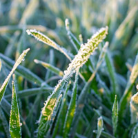 Каталог IV/2025