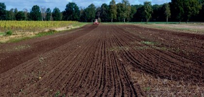 Технологии посева семян